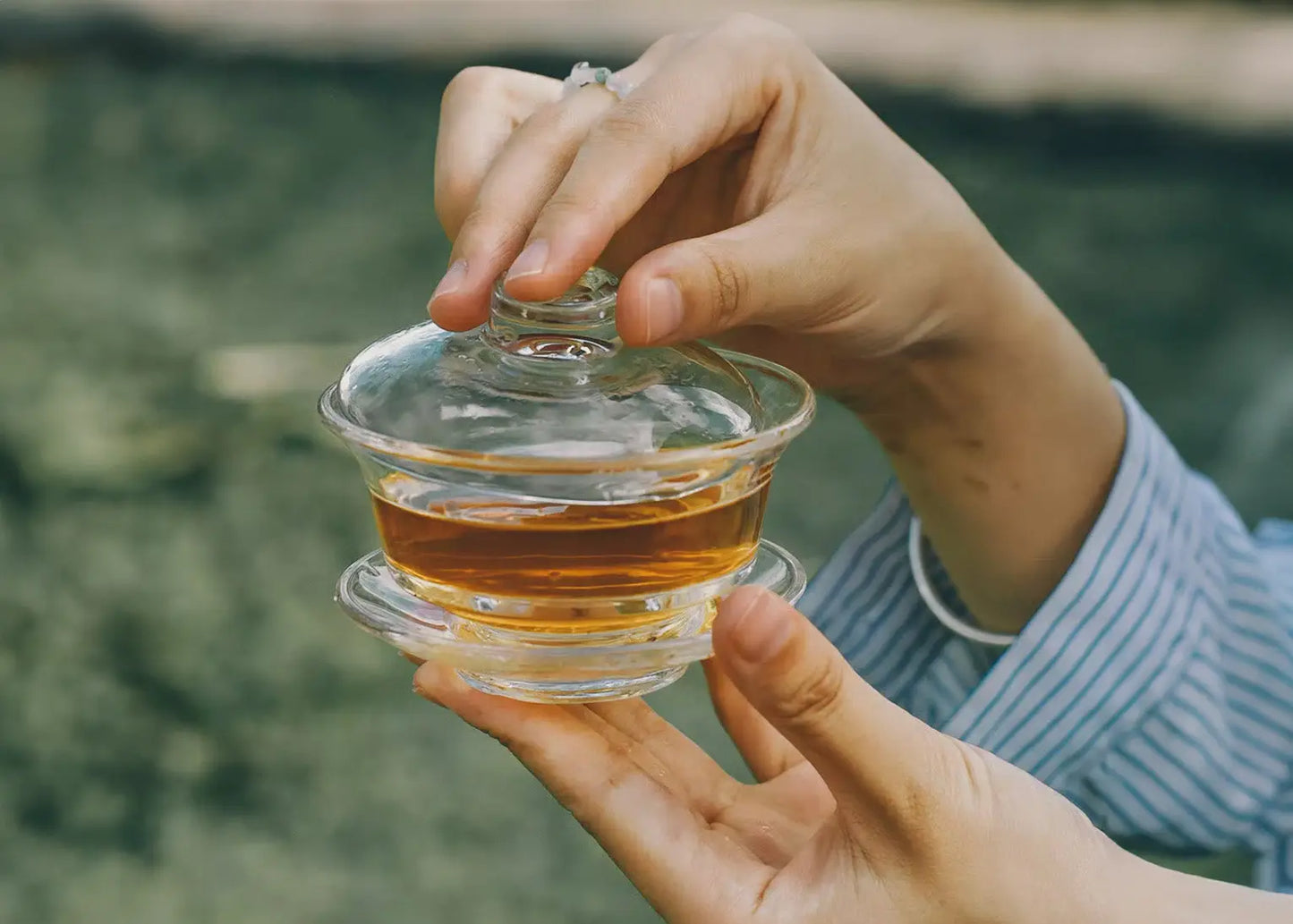 Glass tea cup with lid and saucer for Pu-erh tea brewing in beginner guide