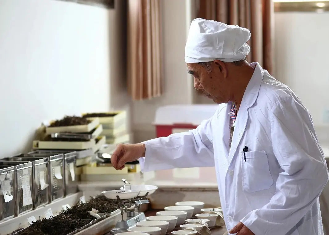 Tea quality control specialist inspecting Pu’er tea at Chen Sheng Hao factory