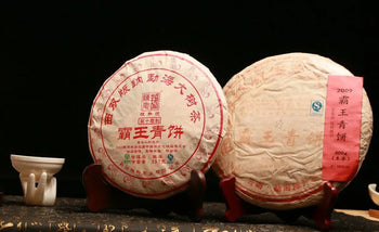 Two round, wrapped Pu’er tea cakes showcased in an article on identifying production years
