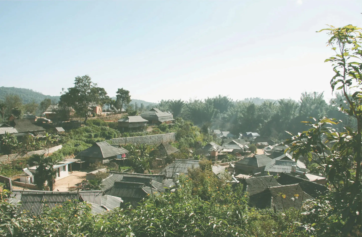 Rural village nestled in lush greenery near Pu’er Tea plantations