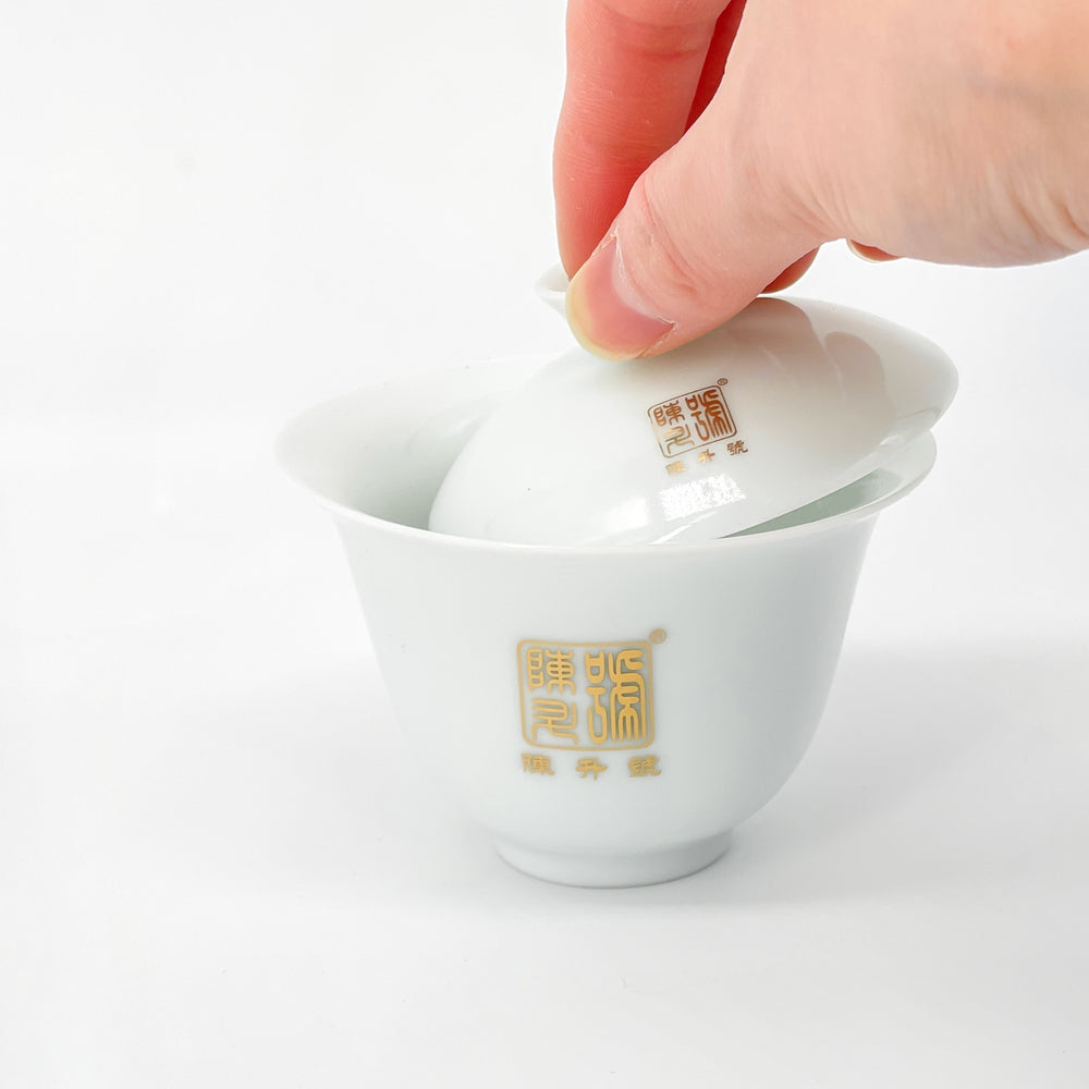 Portable Travel Tea Set - Gaiwan