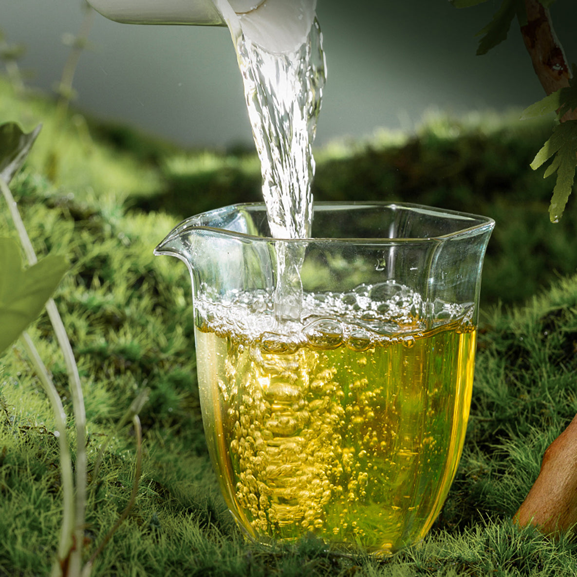 Golden raw pu-erh liquor being poured into a glass pitcher
