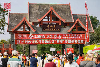 2024 Ban Zhang Village Spring Tea Harvest Festival