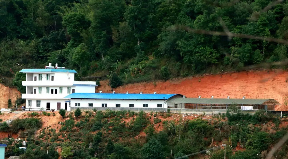 Multi-building hillside complex at Naka base of Chen Sheng Hao in lush surroundings