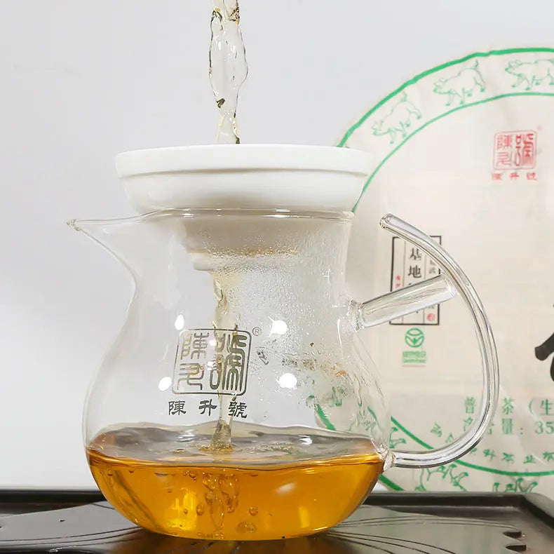 Glass tea infuser with brewed Pu Erh Tea in an article about Black Tea