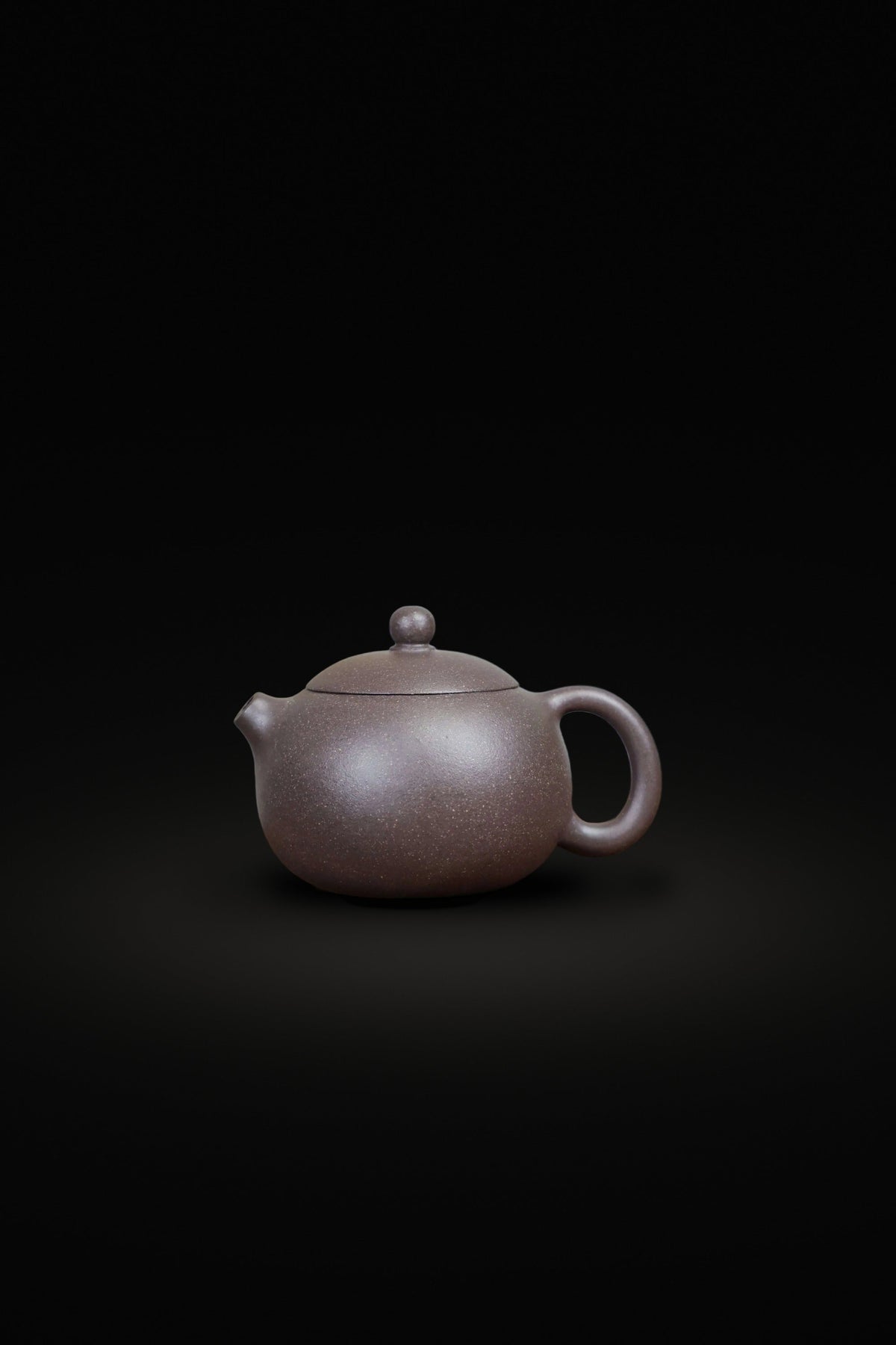 Handmade Tianqing Ni purple clay Xi Shi Yixing teapot