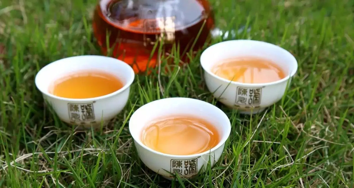 Three cups of brewed Pu’er tea displayed for an article on aging raw Pu’er tea