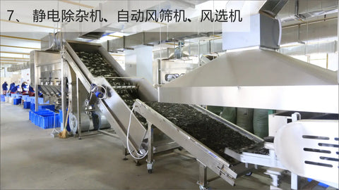 How is Pu’er tea being made in Chen Sheng Hao?