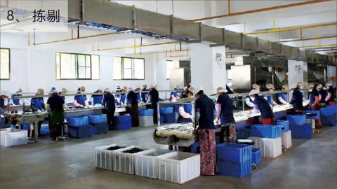 How is Pu’er tea being made in Chen Sheng Hao?