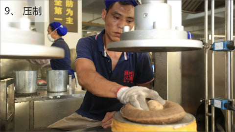 How is Pu’er tea being made in Chen Sheng Hao?