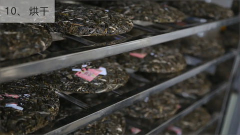 How is Pu’er tea being made in Chen Sheng Hao?