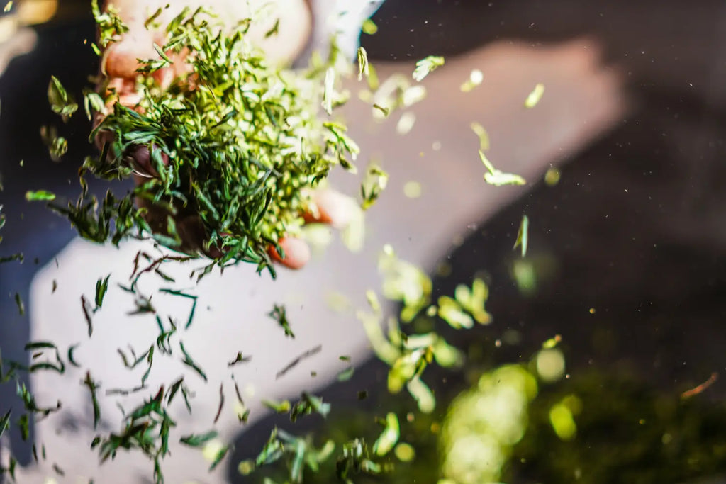 What Tea is Good for Kidney Cleanse