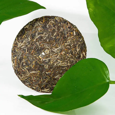 How Long Does Pu Erh Tea Last