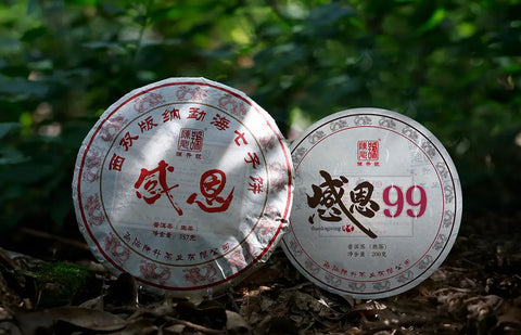 2024 Gan En Raw Pu-erh Tea