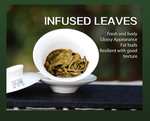 2022 Na Ka Raw Pu-erh Tea
