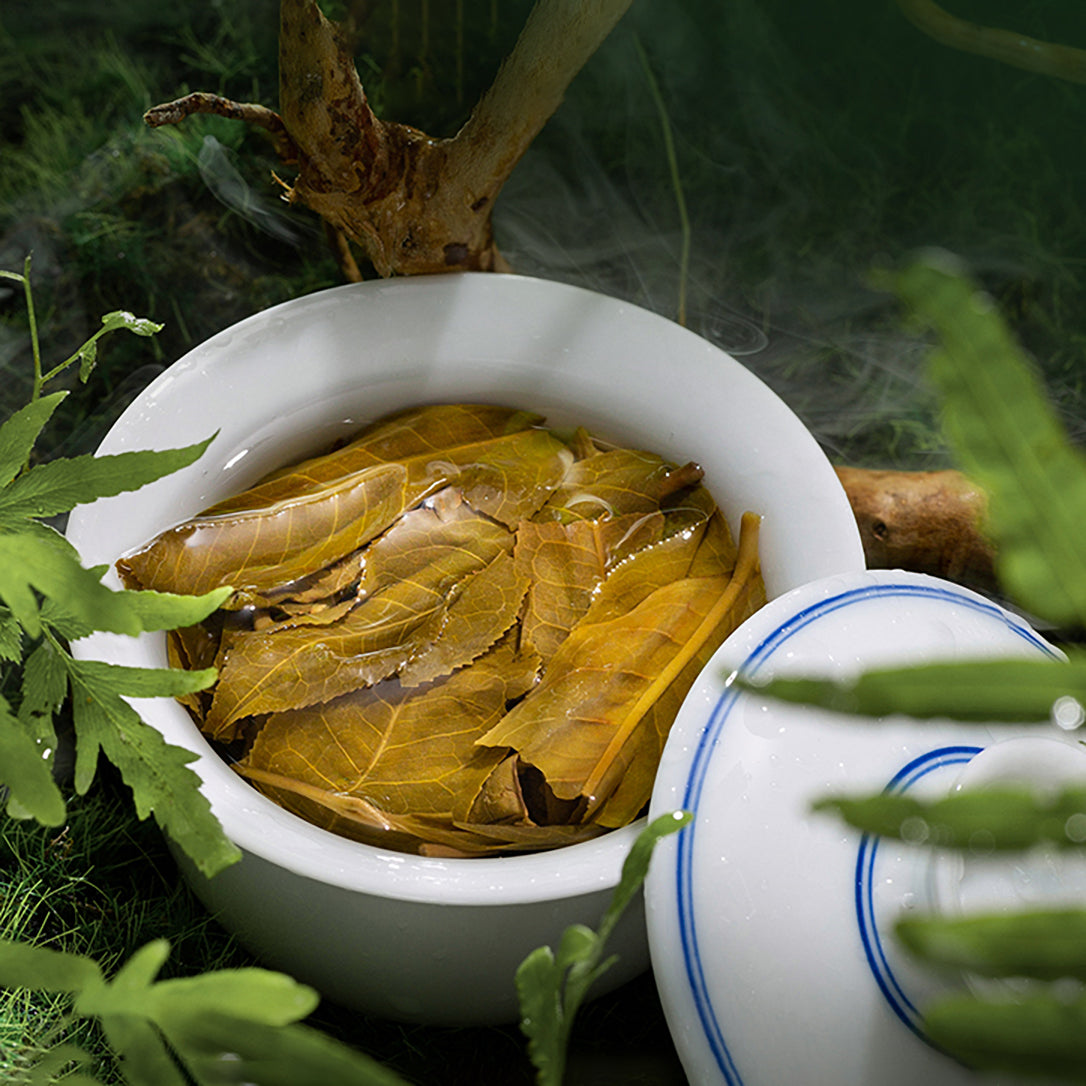 
                  
                    2022 Lao Ban Zhang Raw Pu erh Tea Pu Erh Tea
                  
                