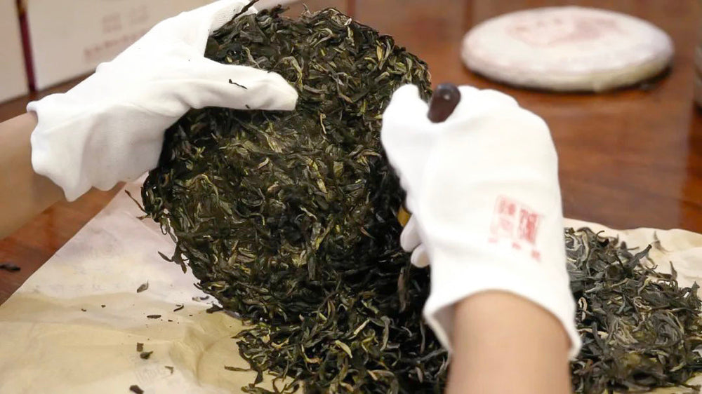 
                  
                    2022 Pu Erh Tea Sample Box (Free Shipping) US$19.99 Tea
                  
                