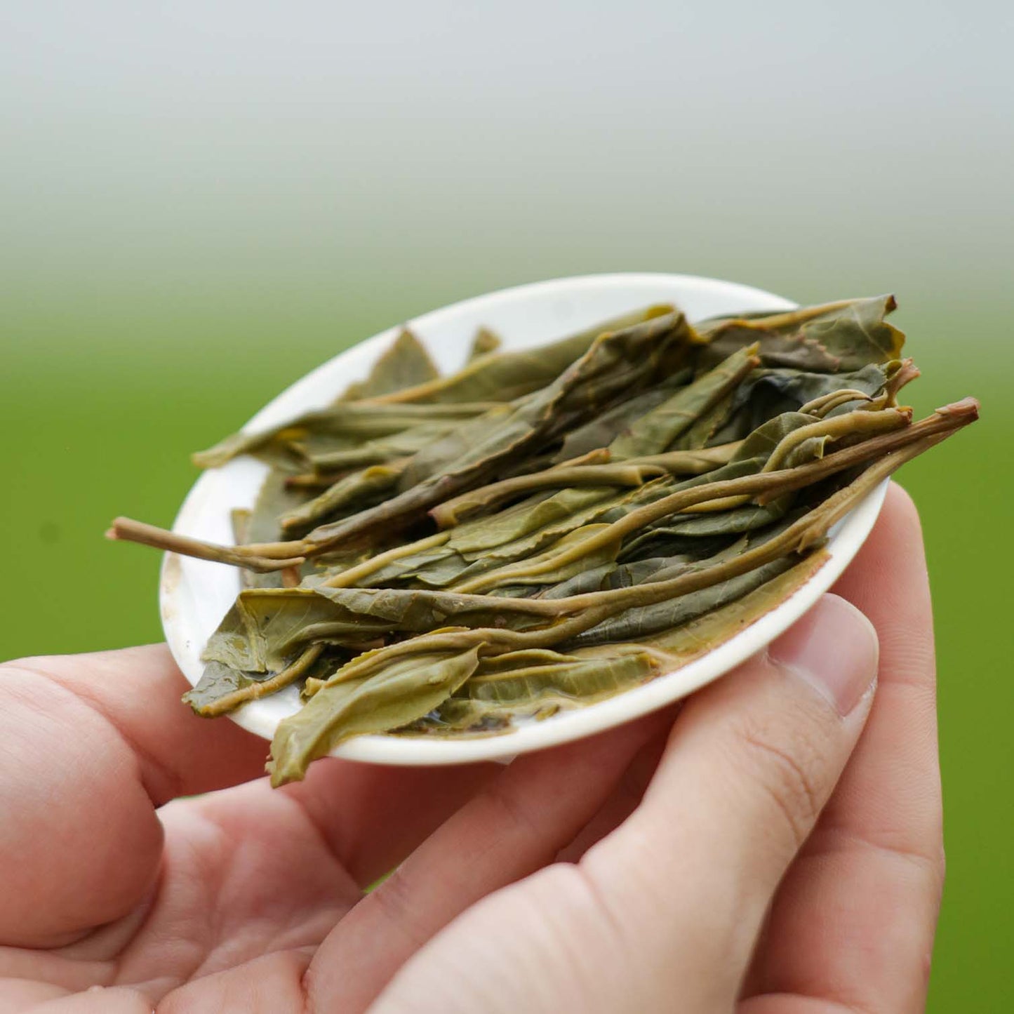 
                  
                    2023 Bing Dao Raw Pu-erh Tea - 200g - Pu Erh Tea
                  
                