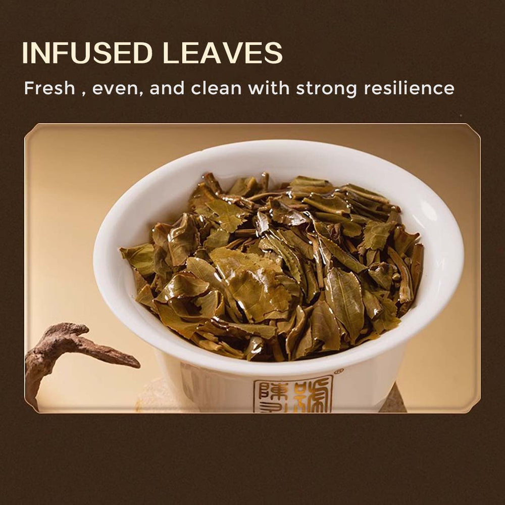 
                  
                    2023 Sheng Yun Raw Pu erh Tea (100g) 100g Pu Erh Tea
                  
                