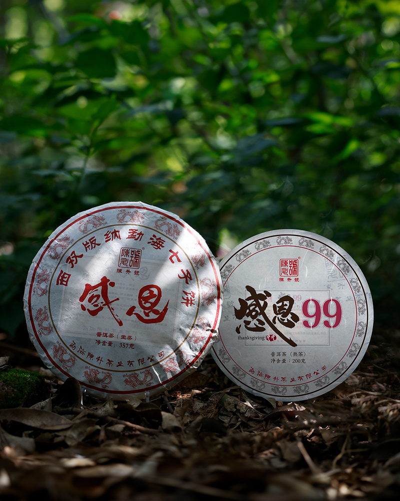 
                  
                    2024 Gan En Raw Pu-erh Tea - 357g - Pu Erh Tea
                  
                