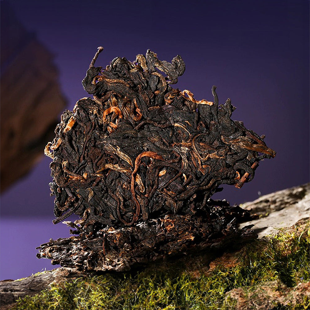 
                  
                    2024 Run Ye Ripe Pu-erh Tea - 357g - Pu Erh Tea
                  
                