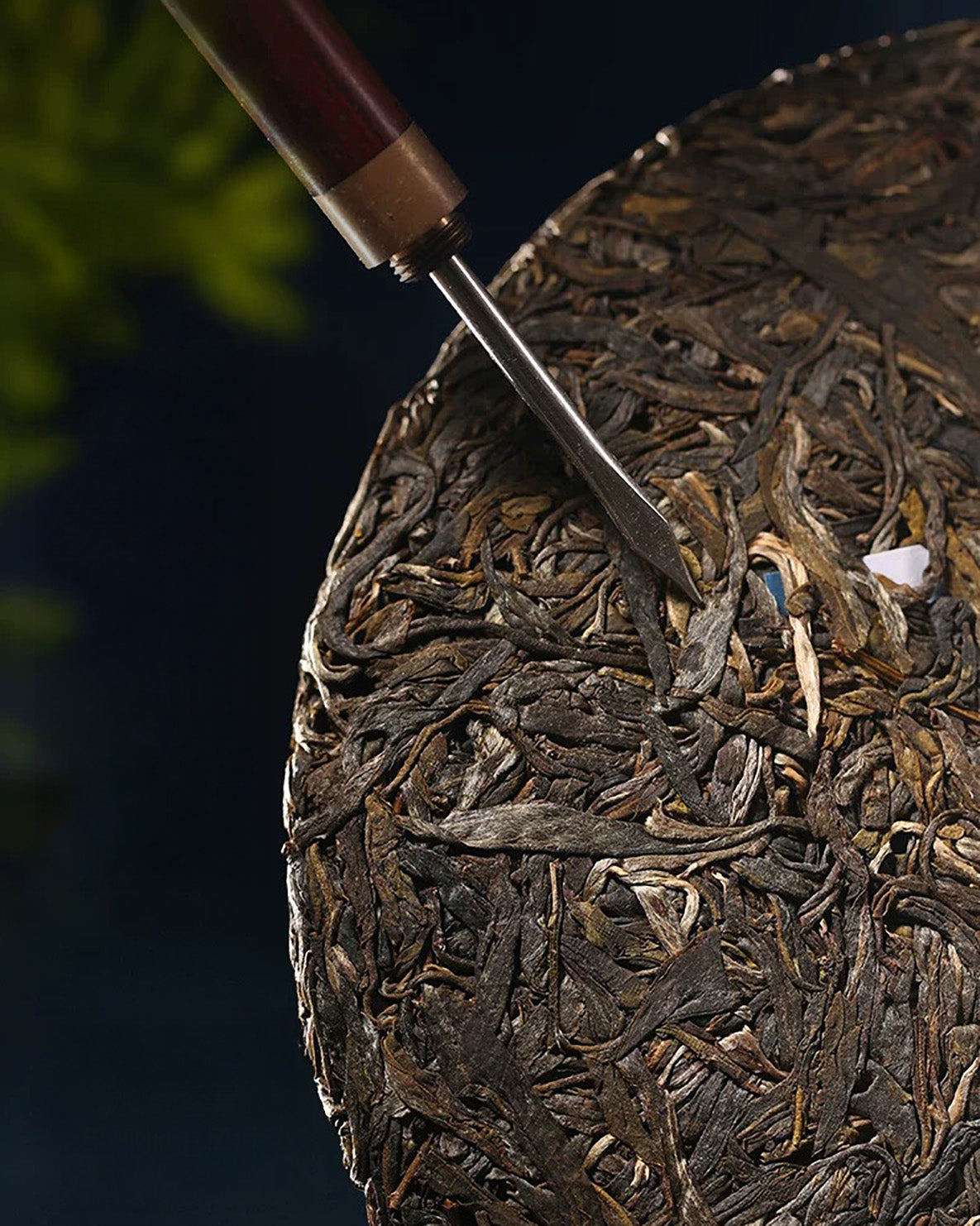 2025 Bing Dao Raw Pu-erh Tea - 357g - Pu Erh Tea