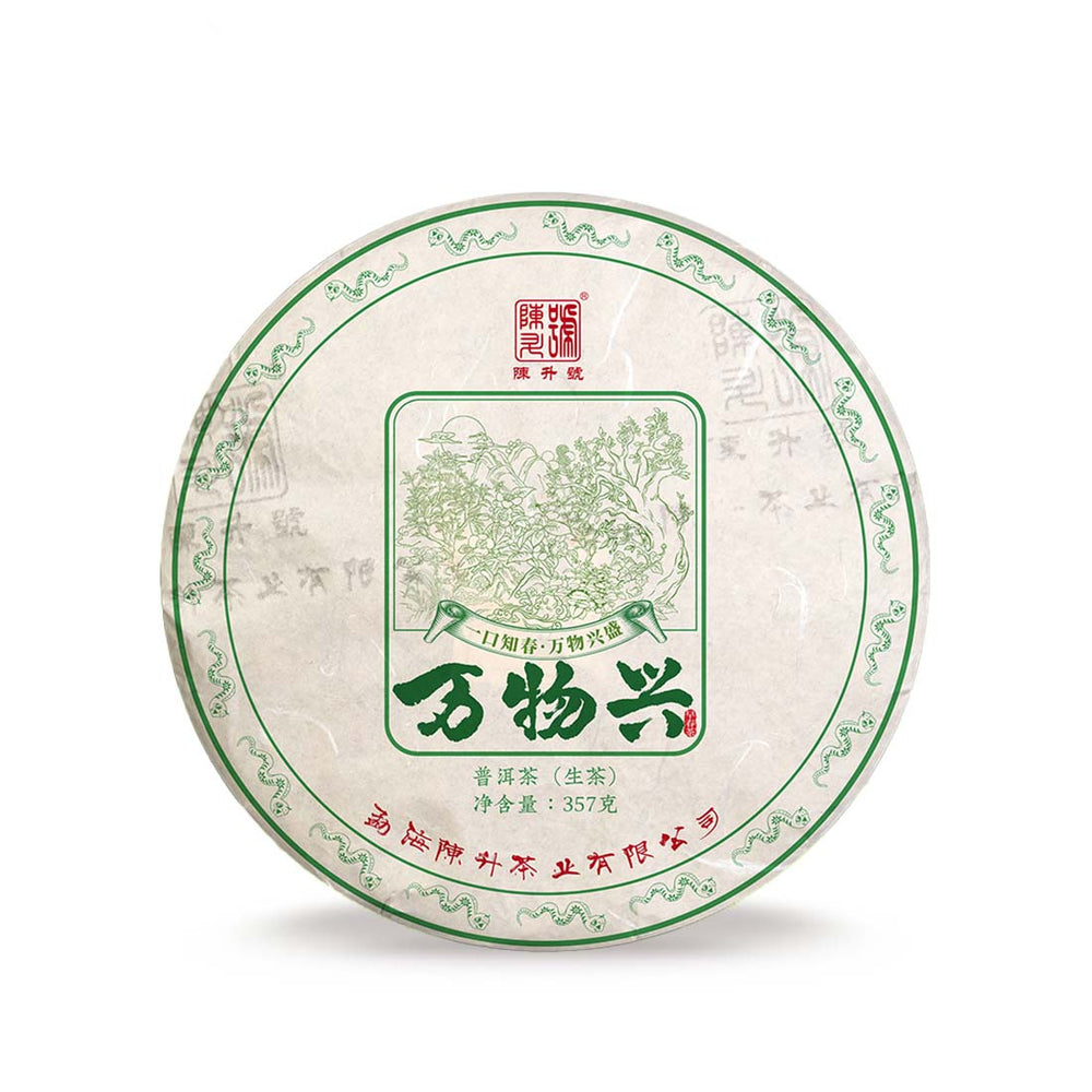 2025 Wan Wu Xing Raw Pu erh Tea 357g Pu Erh Tea