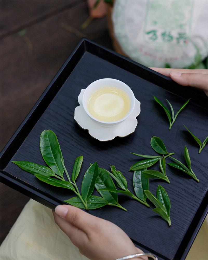 
                  
                    2025 Wan Wu Xing Raw Pu erh Tea 357g Pu Erh Tea
                  
                