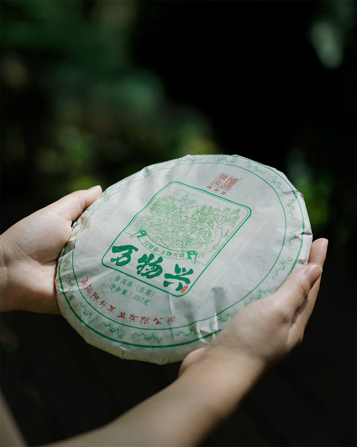 
                  
                    2025 Wan Wu Xing Raw Pu erh Tea 357g Pu Erh Tea
                  
                