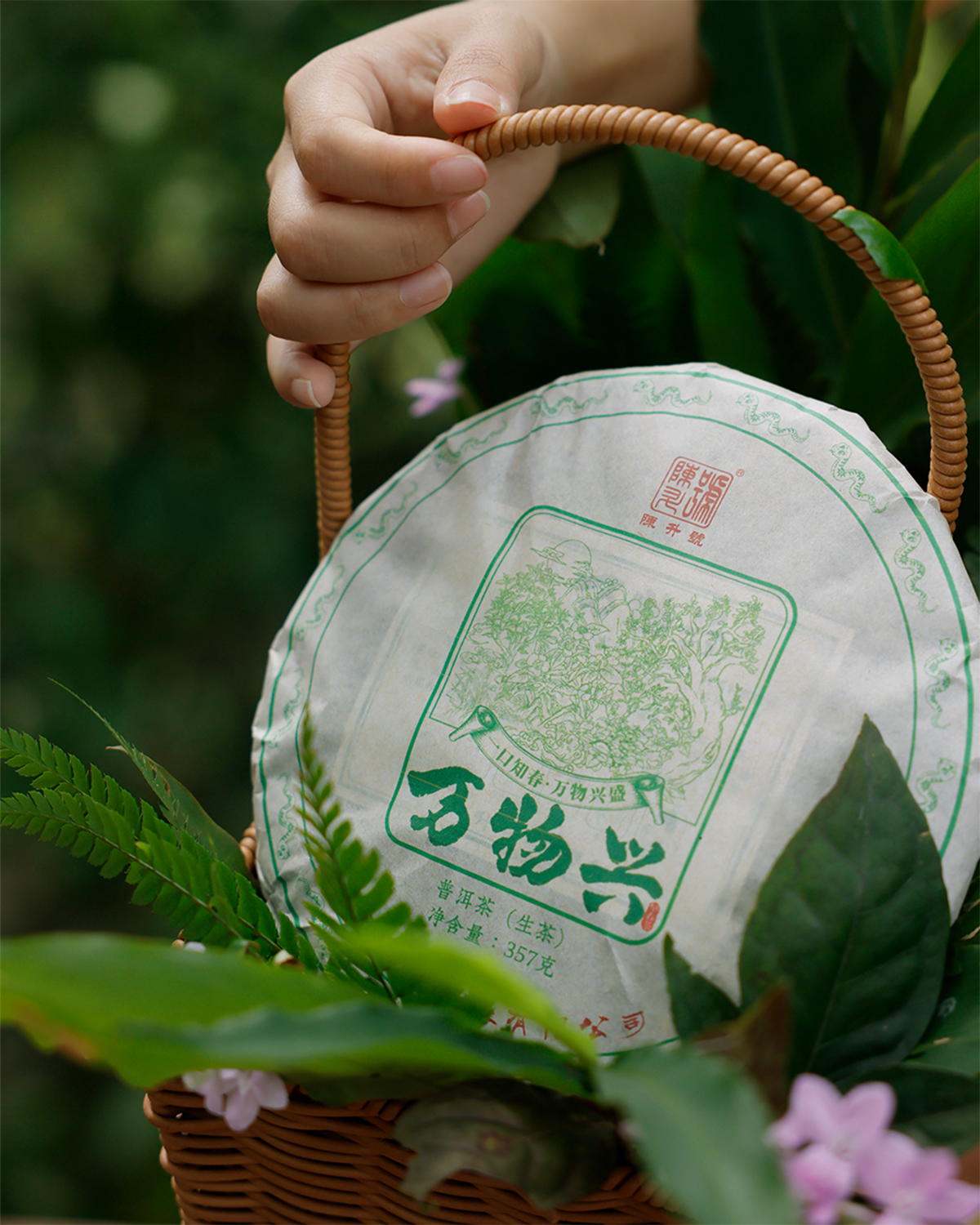 
                  
                    2025 Wan Wu Xing Raw Pu erh Tea 357g Pu Erh Tea
                  
                