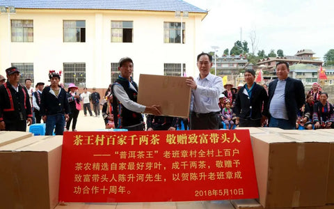 Everything About the King of Tea Lao Ban Zhang