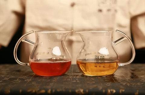 Pu-Erh Tea 101: Everything You Need To About This Extraordinary Tea