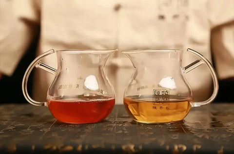 Pu-Erh Tea 101: Everything You Need To About This Extraordinary Tea