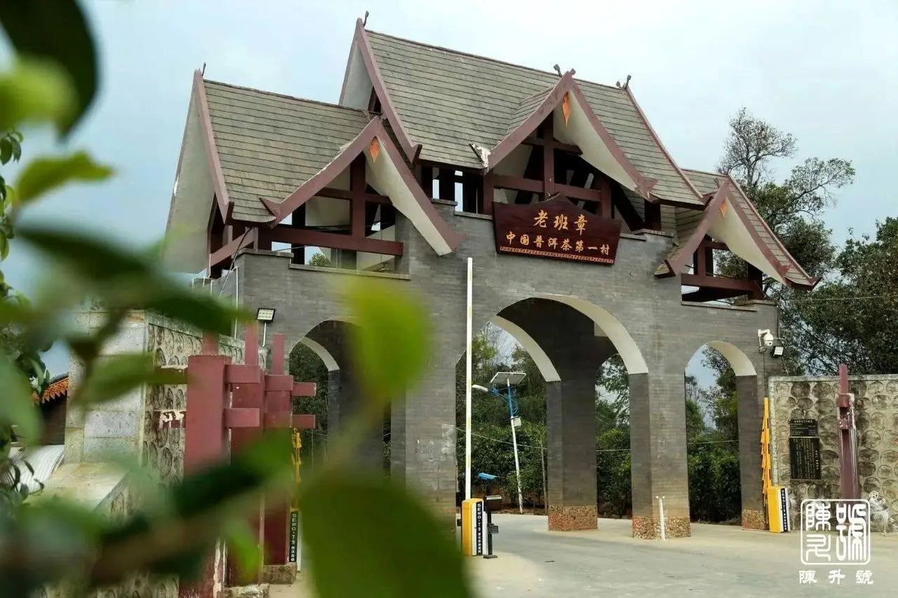 The 2020 ’Lao Ban Zhang’ Tea King Returns and Officially Launched