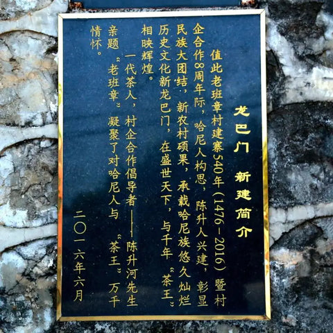 Everything About the King of Tea Lao Ban Zhang