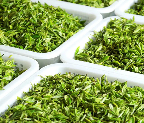How to Store Loose Leaf Tea