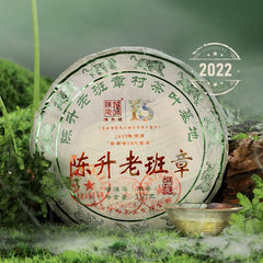 2023 Ban Zhang Yin Xiang Raw Pu-erh Tea