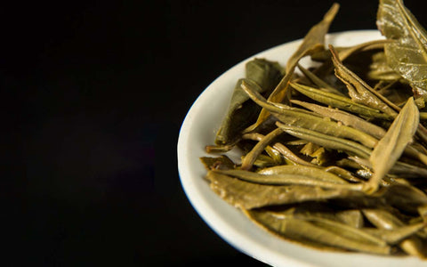 Everything About the King of Tea Lao Ban Zhang