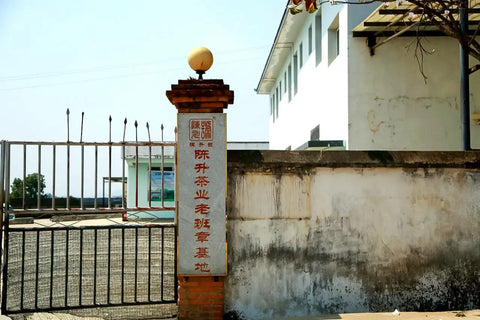 Lao Ban Zhang base of Chen Sheng Hao