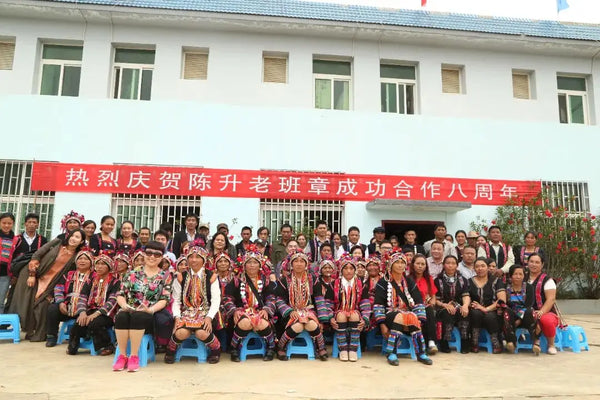 A Review of Sixteen Years of Development Between Chen Sheng Hao and Lao Ban Zhang