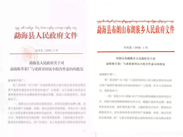 A Review of Sixteen Years of Development Between Chen Sheng Hao and Lao Ban Zhang