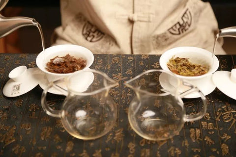 Pu-erh Tea Extract