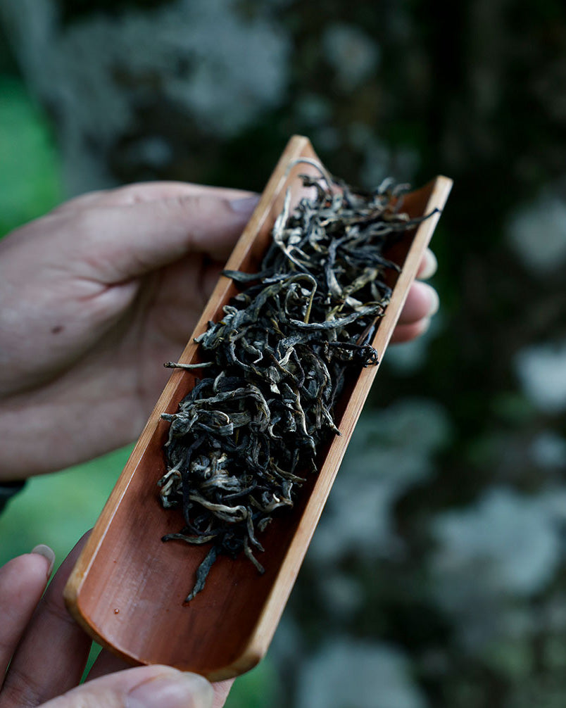 2024 Ban Zhang Wu Zhai Raw Pu-erh Tea - 357g - Pu Erh Tea