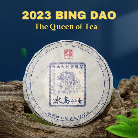 2023 Bing Dao Raw Pu-erh Tea