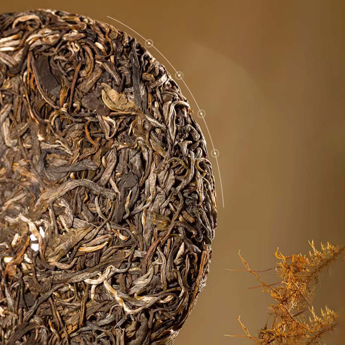2023 Yin Ban Zhang Raw Pu-erh Tea - 200g - Pu Erh Tea