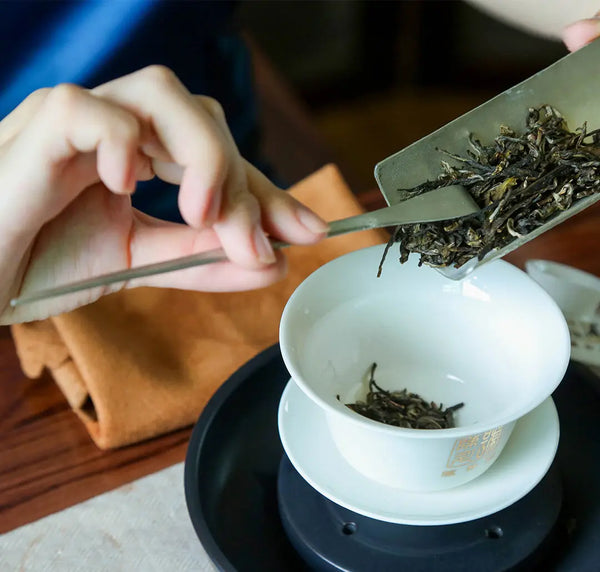 How To Brew A Good Cup Of Pu-erh Tea?