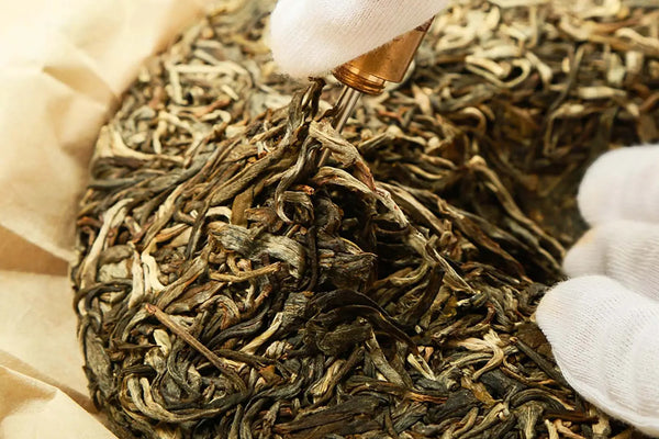 Why Is There A ’Little Nest’ On a Pu-erh Tea Cake?