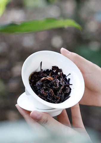 What Tea is Good for Cough