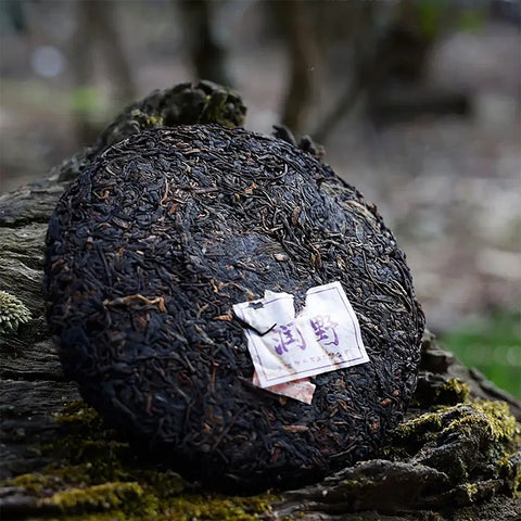 2024 Run Ye Ripe Pu-erh Tea