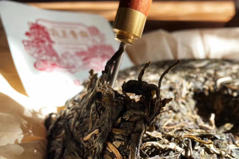 Ultimate Guide of Awakening Pu erh Tea